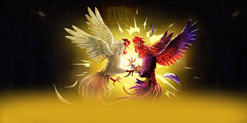 Trải nghiệm đa nền tảng cùng 8XBET